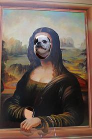 mona