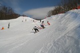231734f1.jpg
