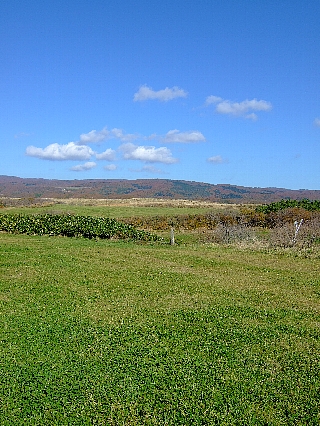 �եåȥѥ�07