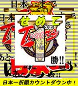 ���礤����������