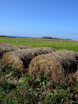 �եåȥѥ�06
