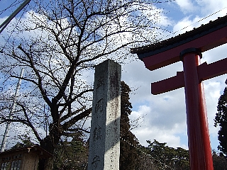 ����ȬȨ��02