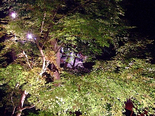 うかい蛍狩り06