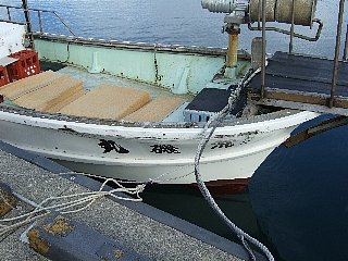 ��̴Ѹ�01