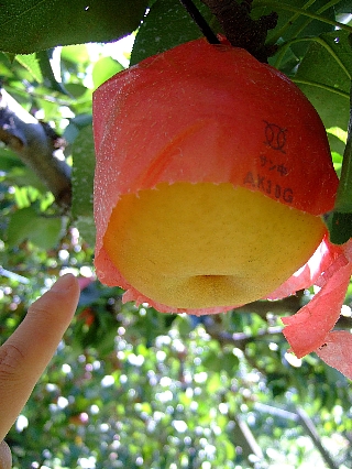 ������03