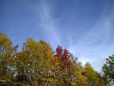 �������ֳ�ƻ����