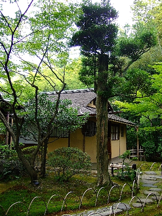 有楽苑09