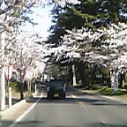 8F0sh0016.jpg