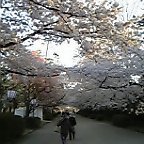 8ENsh0004.jpg