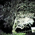 8GCsh0007.jpg