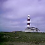7L3sh0009.jpg