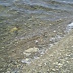 7L0sh0007.jpg