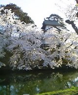 8EOsh0005.jpg
