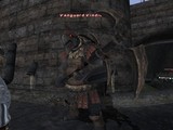 0530_kameankoku