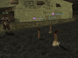 041230_mimizubake
