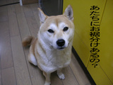 無言の圧力