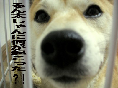 何が起こったんでしょ?