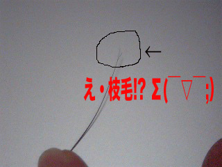枝毛だ〜