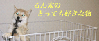 blogバナー