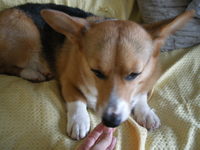 DSCN1768
