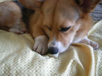 DSCN1769