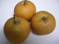 DSCN1762