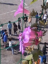 1a090f23.JPG