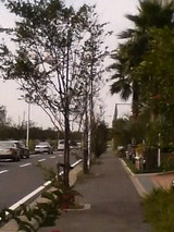 b1300406.JPG