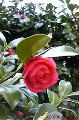 10e0a659.jpg