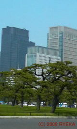 241ef0d5.jpg