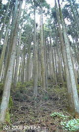 43b4b45e.jpg