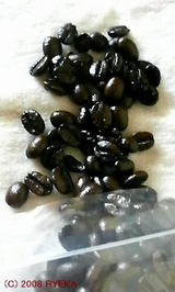 56aa84c5.jpg