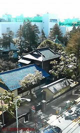 58ea7075.jpg