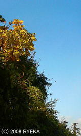 7cdf0242.jpg