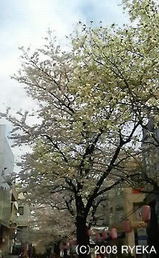 80f5b573.jpg