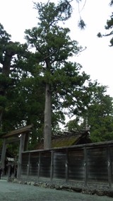 a9bc0720.jpg