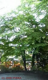 fb570be7.jpg
