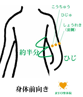 ツボ 二の腕