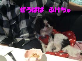 ���䣱