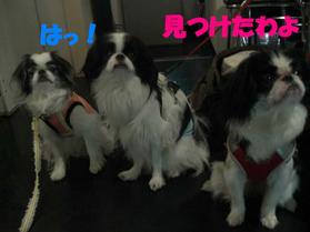 �ߤĤ���