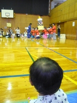みこしだわっしょい