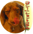 ��󥷥�åȥ���ࡡ������