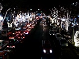 b06f06b2.JPG