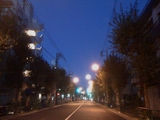 b06f06b2.JPG