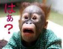 はぁ？