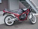 d36a4ab3.jpg