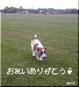お祝い