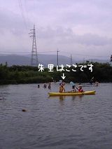 17253ca8.jpg