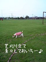 7d176133.jpg