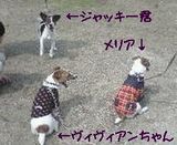 ジャック集合!